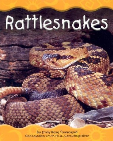 Rattlesnakes (Desert Animals)