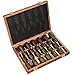 IMOTECHOM 12-Pieces Woodworking Wood Carving Tools Chisel Set with Walnut Handle, Wooden Storage Case primary