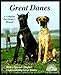 Great Danes: Everything About Purchase, Care, Nutrition, Breeding, Behavior, and Training With 46 Color Photos (Complete Pet Owner's Manual) by 