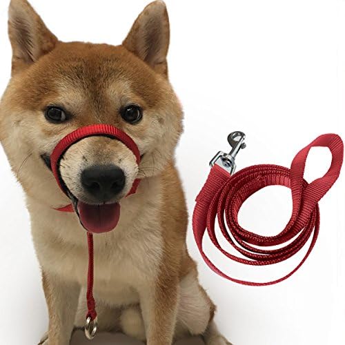 Dog Head Collar Halter Durable Painless No Pain No Pull Training Collars with Leash (M(12"-20"), Red)