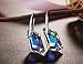 Osiana Lucky Stone Hook Dangle Earrings Made With Black Swarovski Crystals