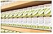 B.O.N Skincare Nourishing Body and Facial Oil - All Natural Blend of Grape Seed, Rosehip Seed and Avocado Oil with Added Vitamin E, Spray Bottle | No Mineral Oil - 100 mL (3.38 FL. OZ.)