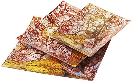 Asian Tree Sushi Plate Set- 3 Square Glass Plates for Serving Appetizers, Dessert, &amp; Main Dishes-Microwave &amp; Dishwasher Safe Dinnerware-Great for Dinner Parties,Brunch, &amp; Fancy Meals-Springs Splendor