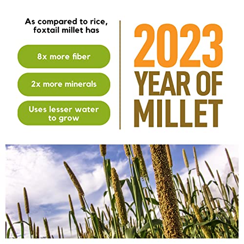 Better Alt 3 LBS SUPER PACK Millet Grain, Superfood of the Year 2023, Gluten Free Millet Seed