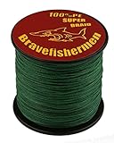 Dark Green super strong PE braided fishing line (100M, 30LB)