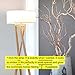 Brightech Z Modern Mid Century Home Standing LED Light Tripod Floor Lamp, Wood