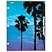 Mead Trapper Keeper 2-Pocket Folders, Fun in the Sun , Assorted Designs, 6 Pack (73453)