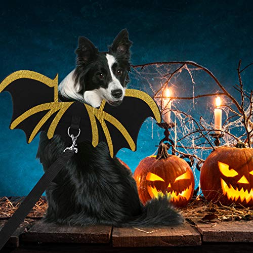 Legendog Halloween Costumes for Dogs, Dog Halloween Bat Costume for Dogs, Cool Pet Halloween Costumes for Dogs, Bat Wings for Dogs with Dog Leash and Pumpkin Bells