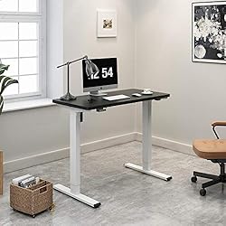 FLEXISPOT EC1 Electric Standing Desk Whole Piece 48