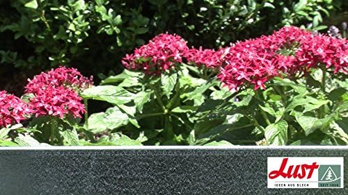 Garten Gartenarbeit Gartengestaltung Rankhilfen Lust Ideen Aus Blech Rasenkante Beeteinfassung Beetkante Set 8 X 118 X 20 Cm Apollo Ensemble Nl