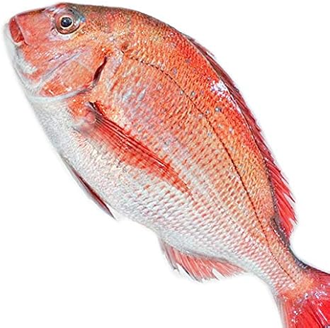 Amazon Co Jp 魚水島 天然真鯛 マダイ 桜鯛 日本海産 4 0 4 4キロ物 Food Beverage Alcohol