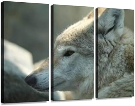 Amazon オオカミ 狼 生き物 横顔 ポートレート 冬 動物 動物園 危険 哺乳動物 毛皮 肉食動物 頭 顔 アップモダン アートボード 壁アート 壁掛け モダンアート 壁飾り木枠セット 壁芸術 新築祝い インテリア オンライン通販 Amazon オオカミ 狼 生き物 横顔 ポートレート 冬 動物 動物園 危険 哺乳動物 毛皮 肉食動物 頭 顔 アップモダン アートボード 壁アート 壁掛け モダンアート 壁飾り木枠セット 壁芸術 新築祝い インテリア オンライン通販