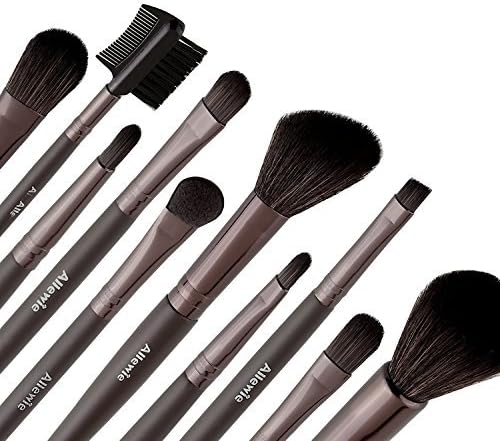 Allewie Makeup Brushes Set 10pcs Nylon Bristles Wooden Handle 1 Free Black Bag Professional Cosmetic Brushes for Eyeshadow , Foundation , Lip , Concealer , Powder and Other Makeup