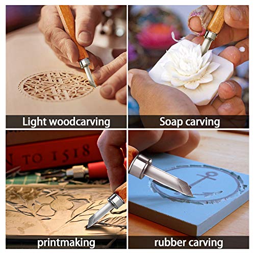 1 Gimars+12+Set+SK5+Vegetables