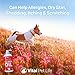 Salmon Oil for Dogs & Cats - Healthy Skin & Coat, Fish Oil, Omega 3 EPA DHA, Liquid Food Supplement for Pets, Supports Joint & Bone Health, Natural Allergy & Inflammation Defense, 16 oz