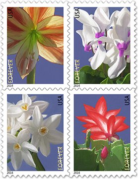 USPS Forever Stamps Winter Flowers 100 Stamps (5 x booklets of 20)