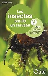 Les  insectes ont-ils un cerveau ?