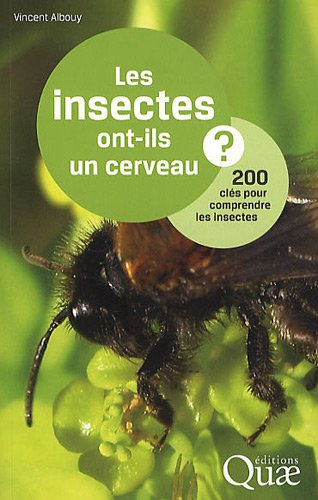 Les  insectes ont-ils un cerveau ?
