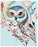 Paint with Diamonds Kit Diamond Dotz Kits Art for Adults Diamond Art, Full Drill (Owl)