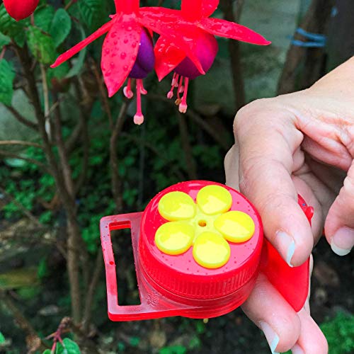 Yard Garden Outdoor Living Aroma Trees Handheld Hummingbird