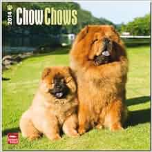 Chow Chows 2014 Calendar 18 Month Calendar Multilingual