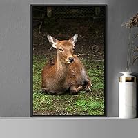 Framed Canvas Wall Art Deer Animals Deer Multicolor Photography Rustic Urban - 16x24 inches