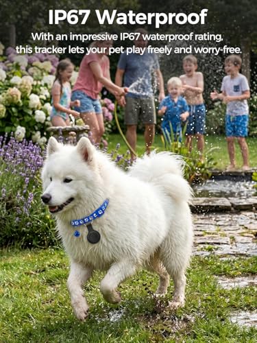 GPS Cat Collar, GPS Dog Collar, Compatible with iOS and Android, No Subscription, IP67 Waterproof, Global Tracking, 7 Day Route Playback, Replaceable Battery, Suitable for Dogs/Cats
