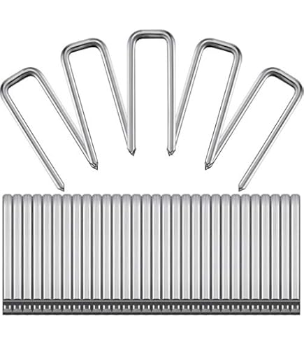 AC/DC ショットグラス　6PACK Black Adam Sixth Scale Figure by Hot Toys | Sideshow