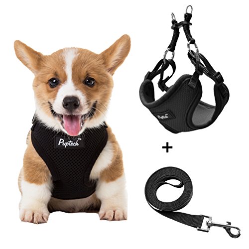 JIATECCO Small Dog Harness With Leash - Adjustable Soft Mesh Step In Vest for Puppy Walking Black