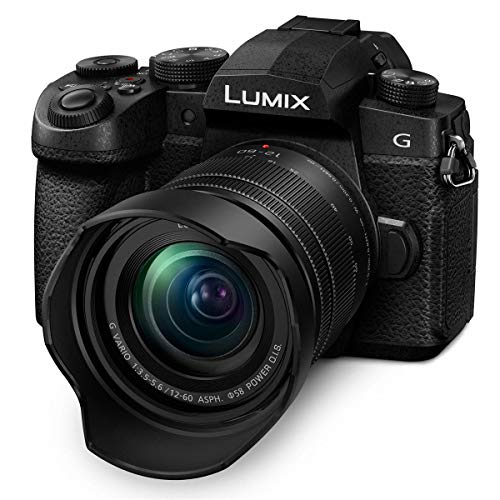 Panasonic LUMIX G95 20.3 Megapixel Mirrorless Digital Camera, 1260mm