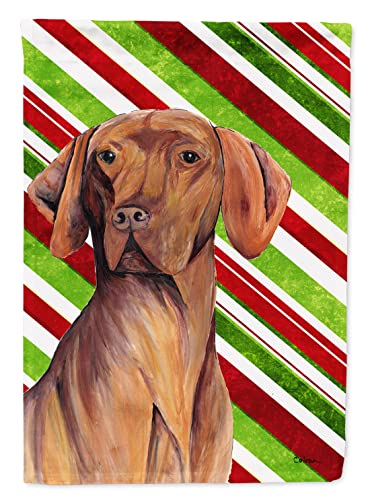 Caroline's Treasures SC9338CHF Vizsla Candy Cane Holiday Christmas House Flag L…