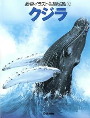 Amazon Co Jp 動物イラスト生態図鑑 10 クジラ 伊藤 年一 ジョン フランシス 本