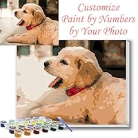 Texture of Dreams Personalized Paint by Numbers Kit for Adults, Acrylic Painting Oil Painting on Framed & Stretched Canvas, Customized DIY Paint by Numbers Set Painting for Beginners (16" x 20")