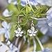 Sterling Silver Plumeria Hook Earrings with CZs, 14mm