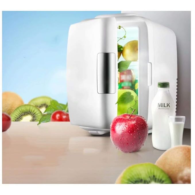 Mini Nevera eléctrica Nevera eléctrica 12V / 240V para Auto y ...