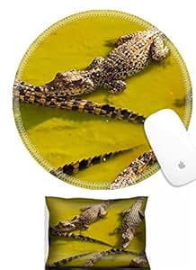 Loading recommendations for this item.