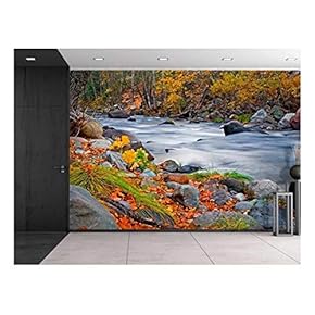 Rocky Lake on a Forest During Fall Time - Wall Mural, Removable Sticker, Home Decor - 66x96 inches