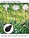 BRIGHT ZEAL [Set of 3] LED Color Changing Solar Stake Lights Outdoor (Dandelion, Lily, Sunflower) - Solar Light LED Garden Decor Statues - Patio Lights LED Outdoor Multicolor Changing LED Lights