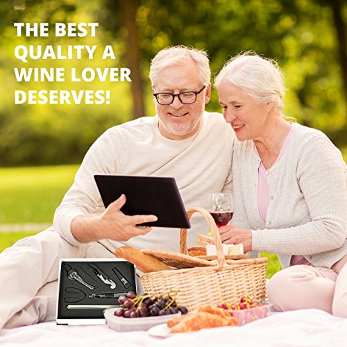 image for Vinetto Wine Lover’s Set: Premium Set Of Wine Aerator, Wine Chiller,