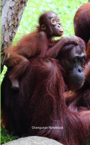 Orangutan Notebook: College Ruled Writer's Notebook for School, the Office, or Home! (5 x 8 inches, 78 pages) Orangutan Notebook: College Ruled Writer's Notebook for School, the Office, or Home! (5 x 8 inches, 78 pages)