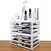 Ikee Design Cosmetics Makeup and Jewelry Storage Case Display for Lipstick, Nail Polish, Brushes, Jewelry and More, Clear