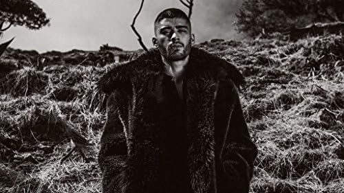 Remarkable Poster's Singer Zayn Malik One Direction 12 x 18 Inch Poster Ultra HD Multicolour Unframed Rolled Print Great Wall Deco r