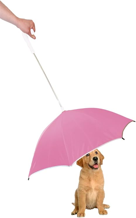 umbrella leash holder