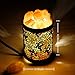 Himalayan Salt Lamps, OxyLED Natural Pink Salt Night Lights with Two Bulbs, Crystal Rock Salt Light in Metal Basket Lampshade with Dimmer Switch, Father's Day Gift (3.15 x 4.33
