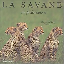 La  savane