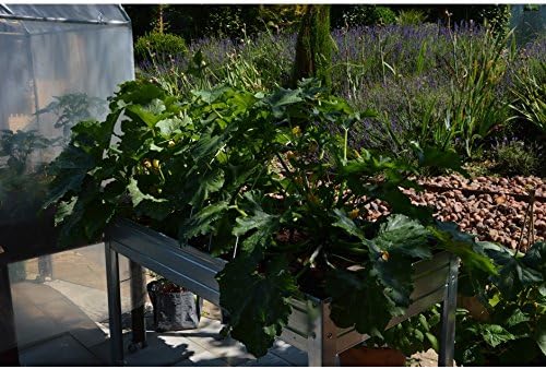 MESA DE CULTIVO Acero Galvanizado. Medidas: Largo 150cm x Ancho ...