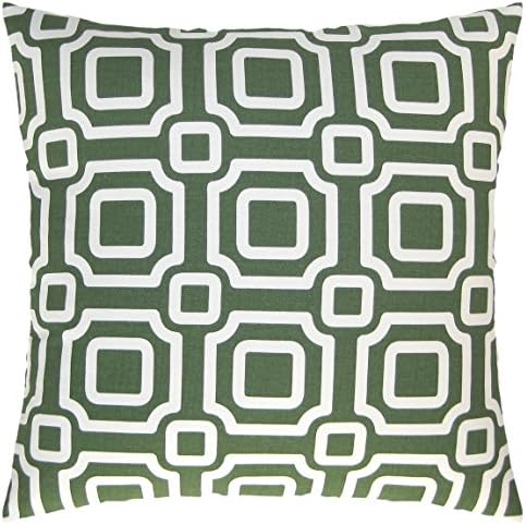 JinStyles Square Chain Cotton Canvas Decorative Throw Pillow Cover (White and Green, 20 x 20)