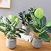 U'Artlines 2 Pack Artificial Plants Topiary Shrubs Fake Plants with Gray Pot for Tabletop Bathroom House Decoration