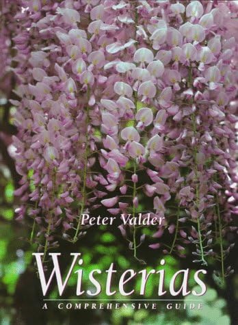Wisterias: A Comprehensive Guide