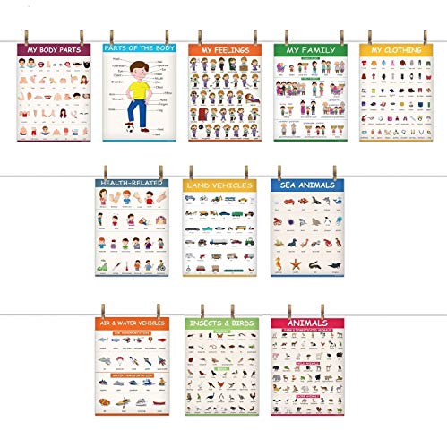 11 Educational Classroom Posters for Toddlers - Body Parts, Feelings & Emotions, Family, Clothing, Health, Vehicles, Animals, Birds & Insects - Learning for Toddlers Classroom Decorations - Thumbnail 3